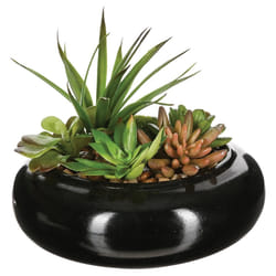 Composition plante vase céramique D20XH6