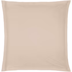 Description générale La taie d'oreiller Carina en coton beige est un accessoire essentiel pour apporter confort et style à vo ...