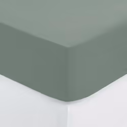 Description générale Le drap-housse en coton vert céladon est conçu pour un lit d'une personne, offrant confort et élégance. ...