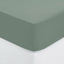 Drap-housse Carina coton vert céladon 140x190cm Atmosphera créateur d'intérieur