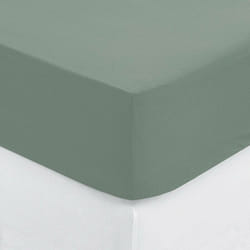 Drap-housse Carina coton vert céladon 160x200cm - Atmosphera créateur d'intérieur