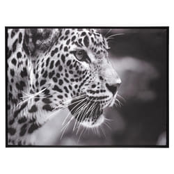 Toile Imprimé Cadeau Léopard 58 x 78