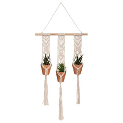 Plante x 3 suspension Terra Haci H 75