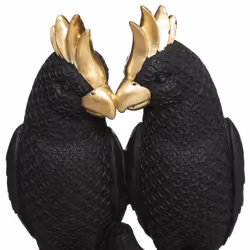 Couple Oiseau Noir Suite H35