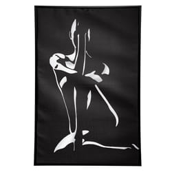 Atmosphera 182118 Peinture murale