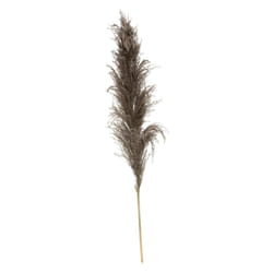 Pampas Nature Brune x 3 H 110