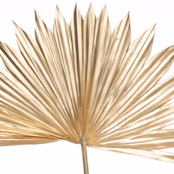 Atmosphera 181479 plante artificielle