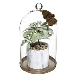 Plante et Cloche Base en Métal Suite