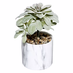 Plante et Cloche Base en Métal Suite