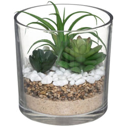 Atmosphera - Composition des plantes arificielles pot verre H16cm créateur d'intérieur