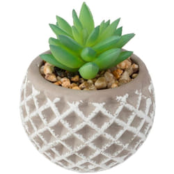 Atmosphera - Pot à succulentes en ciment