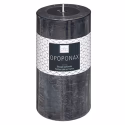 Atmosphera 161663C, 1 pièce(s)