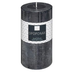Atmosphera 161663C bougie en cire 1 pièce(s)
