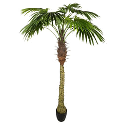 Atmosphera 164253 plante artificielle