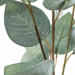Plante Artificielle  Eucalyptus  92cm Vert