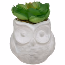 Craquez pour la succulente artificielle Atmosphera ! Elle vous séduira par son pot original et se mariera avec un intérieur a ...