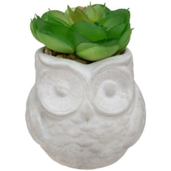 Atmosphera - Succulente artificielle pot ciment H8cm créateur d'intérieur