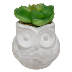 Atmosphera 167204 plante artificielle