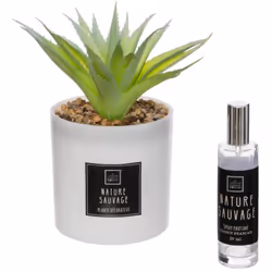 Optez pour ce coffret senteur "Cactus" Atmosphera qui évoque une balade dans un jardin exotique. Un sillage olfactif plein de ...