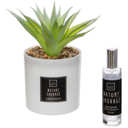 Atmosphera - Coffret senteur cactus16x19cm créateur d'intérieur
