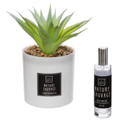 Coffret Senteur Cactusvoir