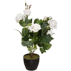 Rosier artificiel pot ciment H43cm Atmosphera créateur d'intérieur