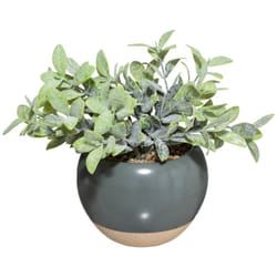 Atmosphera - Plante artificielle pot céramique H20cm créateur d'intérieur