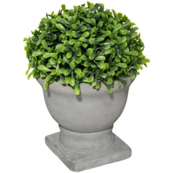 Atmosphera - Buis artificiel Romance pot ciment H16cm créateur d'intérieur