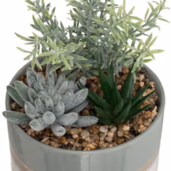 Mettre du végétal dans une décoration d'intérieur, ça fonctionne à tous les coups ! Pour faire entrer la nature dans votre fo ...
