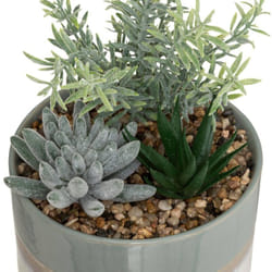 Composition plantes pot céramique H18,5cm - Atmosphera créateur d'intérieur