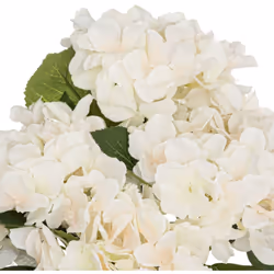 Offrez-vous le bouquet d'hortensias artificiels Atmosphera et déposez une touche bucolique dans votre intérieur ! Il se marie ...