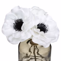 Atmosphera 181401 plante artificielle