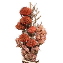 Atmosphera 181405 plante artificielle