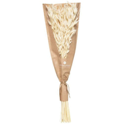 Atmosphera - Bouquet fleurs séchées H45cm créateur d'intérieur