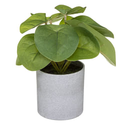 Atmosphera 185448 plante artificielle