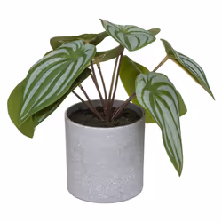 Atmosphera 185448 plante artificielle