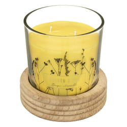 Bougie parfumée 380 g en verre + bois citronnellevoir