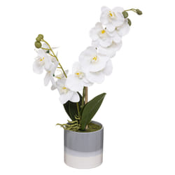 Orchidee Pot Céramique Reactive H 45