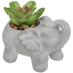 Atmosphera - Plante artificielle éléphant pot ciment H10cm créateur d'intérieur