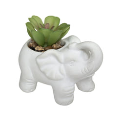Atmosphera 181499 plante artificielle