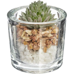 Atmosphera - Plante artificielle H10cm créateur d'intérieur