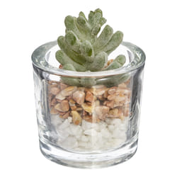 Atmosphera 168548 plante artificielle