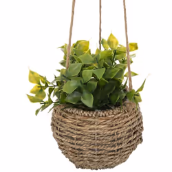 Plante zoe à suspendre h17cm - Atmosphera createur d'interieur. Couleur : Modèle a. Matière principale : Roseau. Longueur : 1 ...