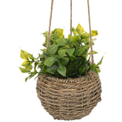 Atmosphera - Plante Zoe à suspendre H17cm créateur d'intérieur
