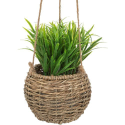 Atmosphera - Plante Zoe à suspendre H17cm créateur d'intérieur