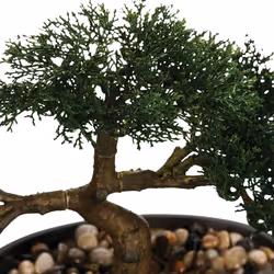 Bonsaï artificiel en pot céramique H23 - Instinct Naturel