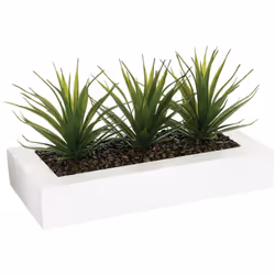 Description générale Ajoutez une touche de verdure à votre intérieur avec ce centre de table contenant trois plantes d'Aloe V ...