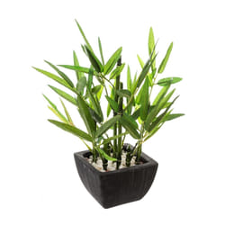 Plante Artificielle en Pot  Bambou  26cm Noir