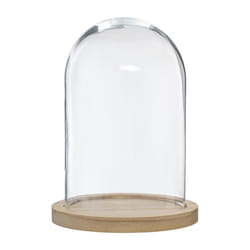 Cloche Verre Socle Bois