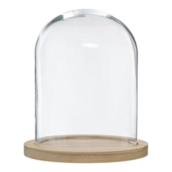 Cloche Verre Socle Bois